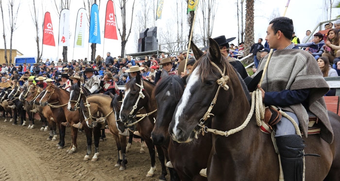 Tres rodeos amenizarán la Semana de la Chilenidad