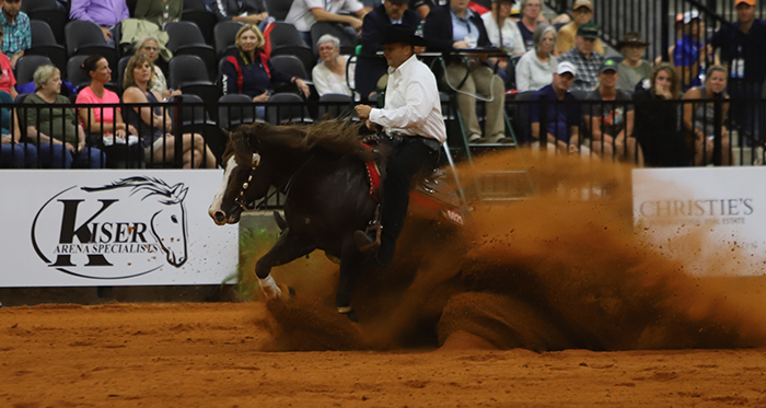 El belga Bernard Fonck dio el golpe a la cátedra en la final de la Rienda en Tryon