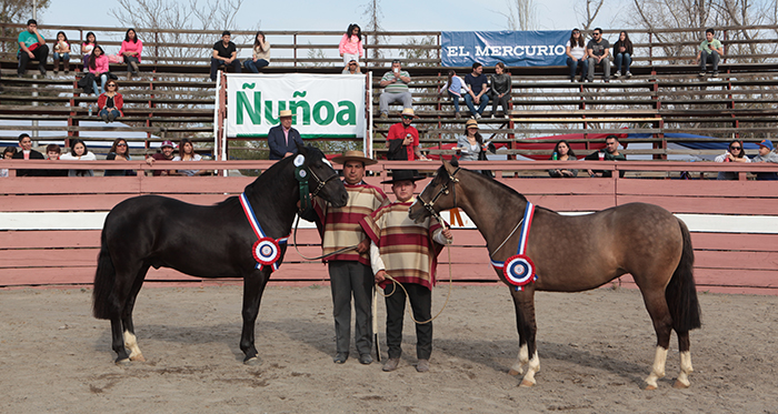 Guindao y Escultura ganaron los premios máximos de la Expo Ñuñoa