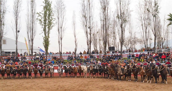 Rodeo Para Criadores Interfederaciones, un hito histórico y positivo
