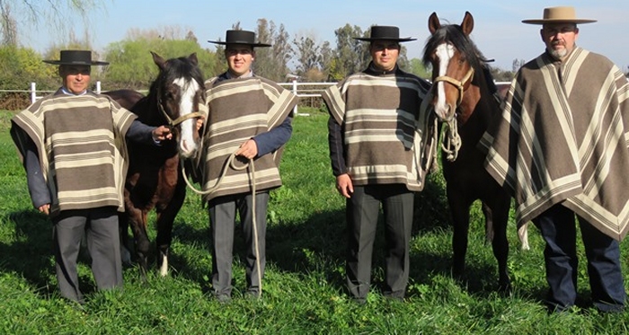 Criadero Oña Rosalía, al Caballo Chileno con amor