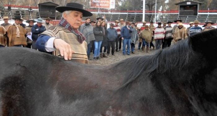 Criadores de Asociación Ultima Esperanza tendrán taller de Rienda en Puerto Natales