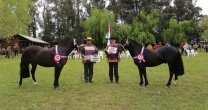 Expo San Clemente tendrá cerca de 40 ejemplares y transmisión por streaming Expo San Clemente tendrá cerca de 40 ejemplares y transmisión por streaming