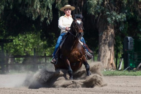 Paola Lembach y su incursión en el Reining: Hay que seguir poniéndole empeño y entrenando
