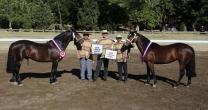 Casablanca tiene armada una atractiva Exposición en Puro Caballo Casablanca tiene armada una atractiva Exposición en Puro Caballo