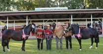 Criadores de Cascarrabias y Doña Flor mostraron gran orgullo por los ganadores de la Expo SOFO Criadores de Cascarrabias y Doña Flor mostraron gran orgullo por los ganadores de la Expo SOFO