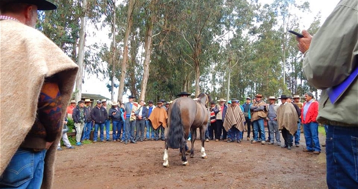 Taller de Herraje en Collipulli superó todas las expectativas