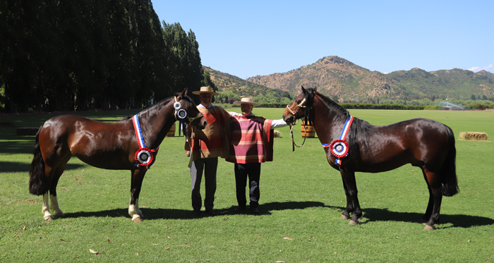 Ojalatero y Emboscada se lucieron en la Expo Colchagua