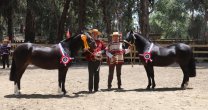 Pura Suerte y Es Guapa reinaron en San Vicente de Tagua Tagua Pura Suerte y Es Guapa reinaron en San Vicente de Tagua Tagua