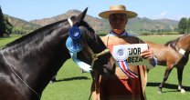 Los Grandes Premios de la Expo Colchagua 2018 Los Grandes Premios de la Expo Colchagua 2018