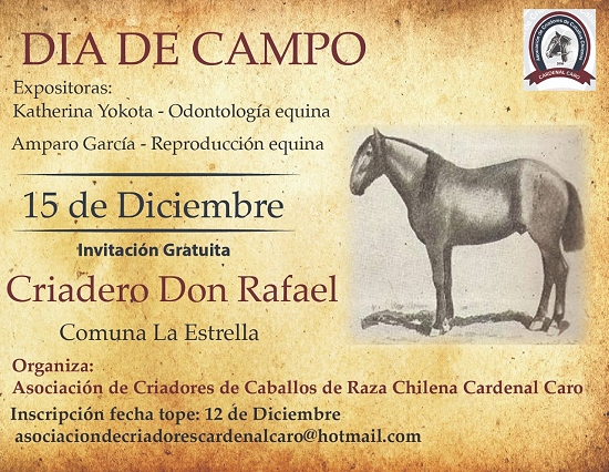 Imagen foto_00000014