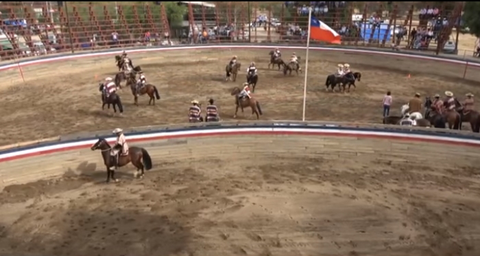 Asociación Santiago se concentra en su Rodeo Para Criadores en Til Til ...