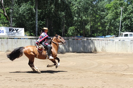 Imagen foto_00000002