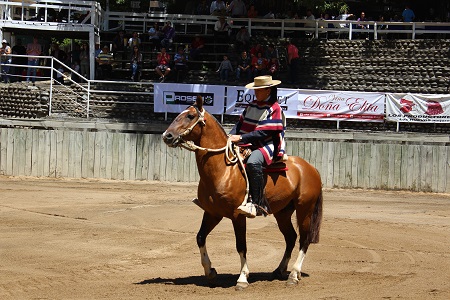 Imagen foto_00000003