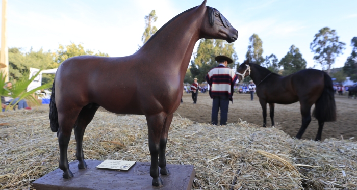 El programa de la Expo Nacional y Final de Rodeos Para Criadores 2019