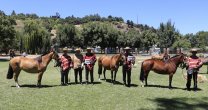 Criadores de Curicó tienen todo listo para su Exposición en Los Niches Criadores de Curicó tienen todo listo para su Exposición en Los Niches