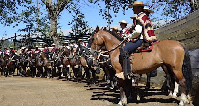 Santa Bárbara vive ambiente de fiesta a una semana de la Expo Nacional y Final de Criadores