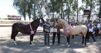 Tocayo y Llovizna, lo mejor de la Expo Curicó Tocayo y Llovizna, lo mejor de la Expo Curicó
