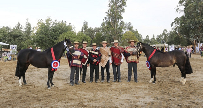 Exposición Nacional engalana la fiesta de los criadores en Santa Bárbara