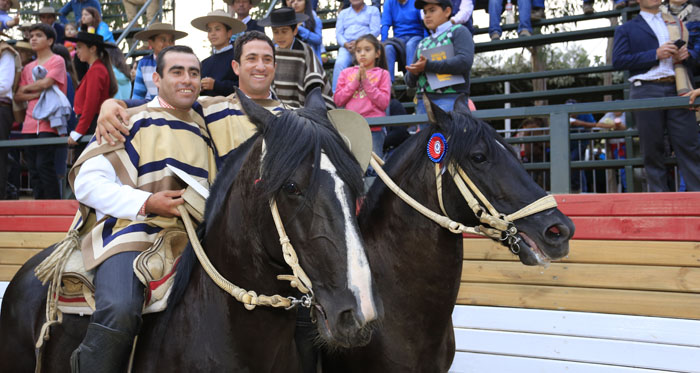 Doña Tuca Rodeo What to Watch for in Mella’s Performance