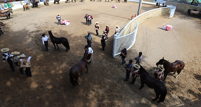 Pruebas de Campo, un resurgir de las tradiciones