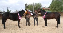 Asociación de Criadores de Ñuble alista su habitual exposición en la AgroExpo Asociación de Criadores de Ñuble alista su habitual exposición en la AgroExpo
