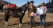 Expo Choapa tendrá interesante programa de actividades en Illapel Expo Choapa tendrá interesante programa de actividades en Illapel