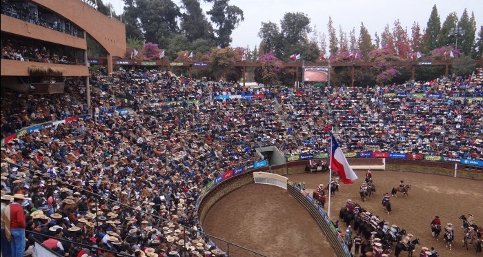 El deporte del Rodeo Chileno, siempre en continua alza