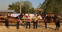 Remojado y Mañanera impusieron su calidad en la Expo San Carlos Remojado y Mañanera impusieron su calidad en la Expo San Carlos