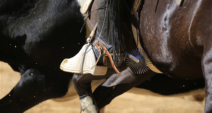 Las autoridades para el Campeonato Nacional de Rodeo 2019