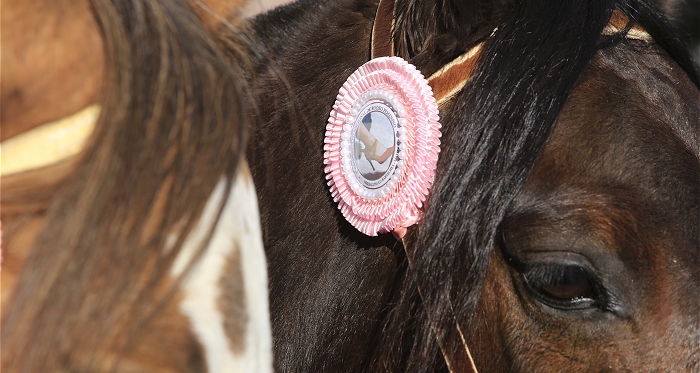 Las corraleras también tendrán su espacio en el 71° Campeonato Nacional de Rodeo