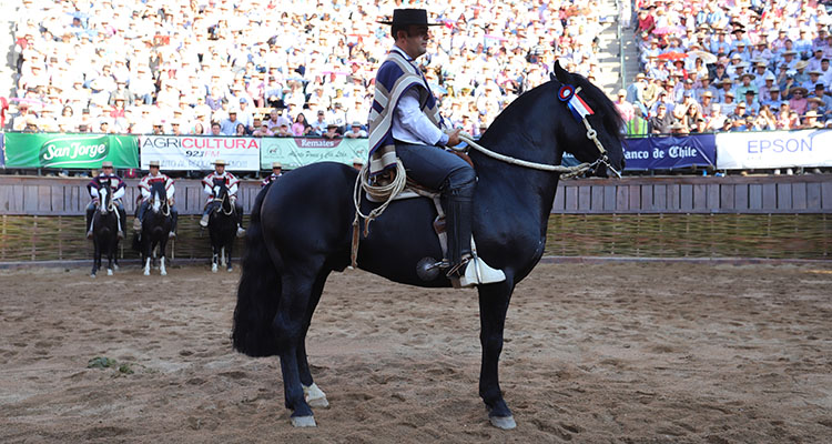 Peleco Caballero fue el Sello de Raza 