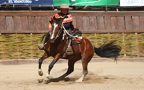 Imagen foto_00000002