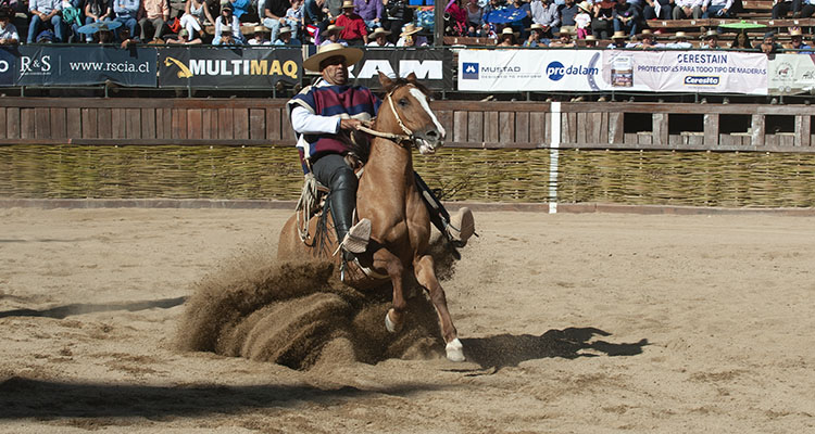 Luis Eduardo Cortés, Yeny Troncoso y Bernabé Hot, Campeones 2019 del Movimiento a la Rienda