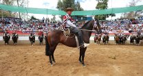 Buen Principio Plebiscito encabezó ranking de padres con más hijos presentes en Rancagua Buen Principio Plebiscito encabezó ranking de padres con más hijos presentes en Rancagua