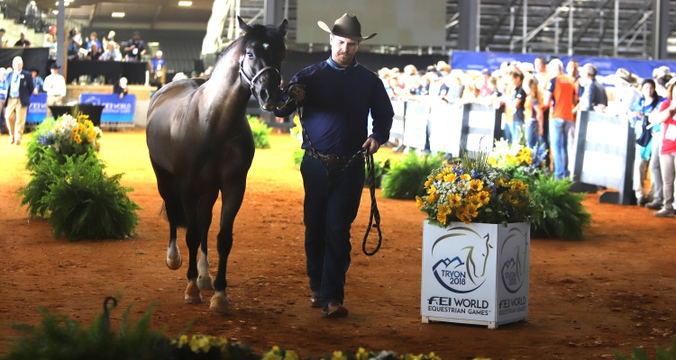 Marcelo Guzmán y su aventura en USA: Tenemos un caballo chileno donde las papas queman