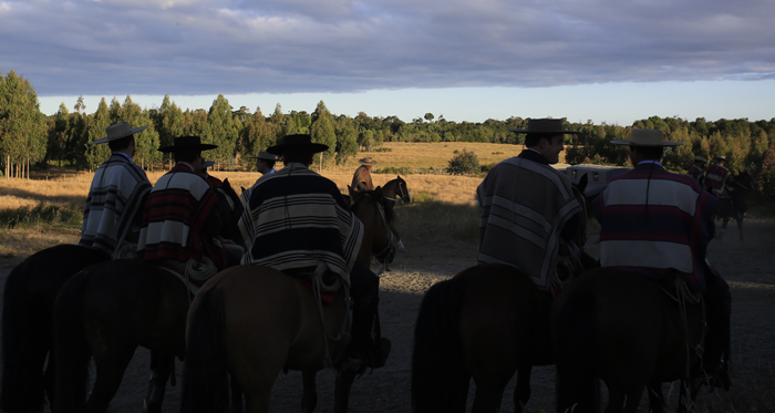 Reporte de Clubes Certificados entregado por la Gerencia Deportiva del Rodeo