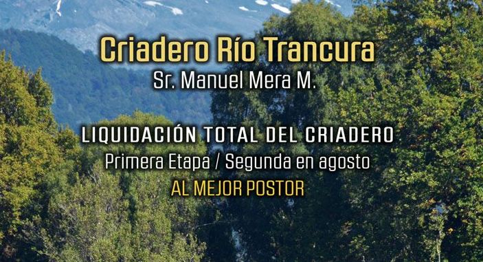 Criadero Río Trancura tiene primer remate por liquidación