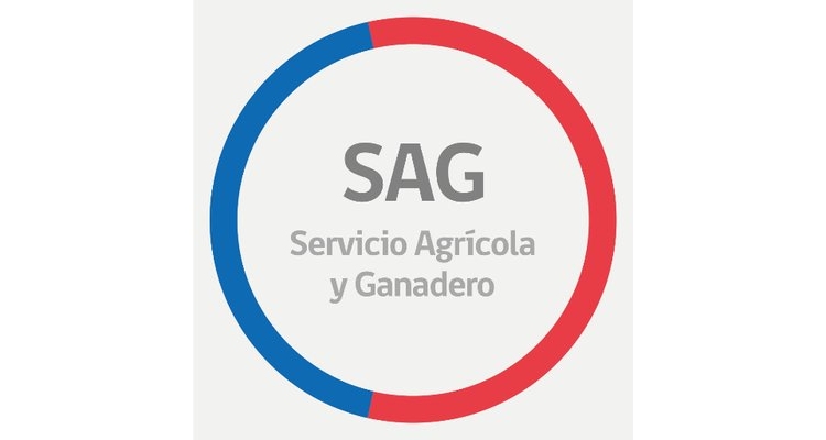 Comunicado oficial del SAG sobre Anemia Infecciosa Equina