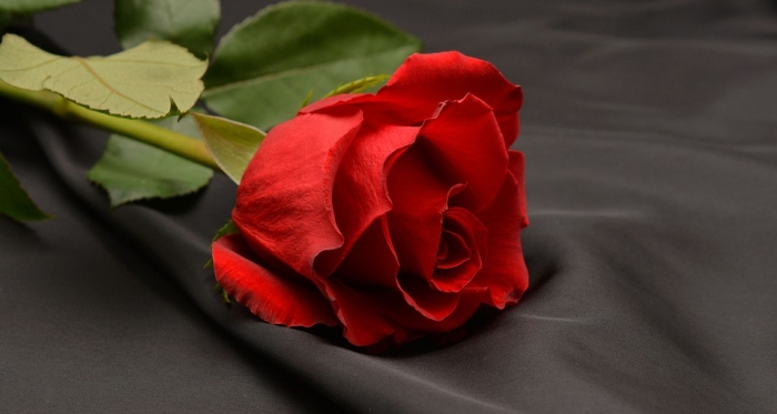 Falleció Rosa Oportus, viuda de Hugo Cardemil