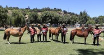 Asociación Curicó sigue recibiendo inscripciones para su Exposición en el Nacional Escolar Asociación Curicó sigue recibiendo inscripciones para su Exposición en el Nacional Escolar