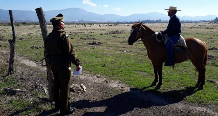 Veterinario Felipe Abarca destacó implementación del formulario de denuncia de abigeato