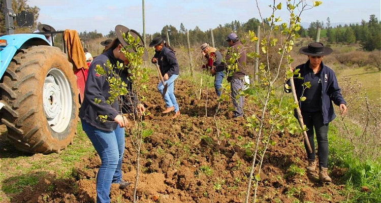 Escuadra Amazonas de la Tradición Chilena inició campaña para proteger el medio ambiente