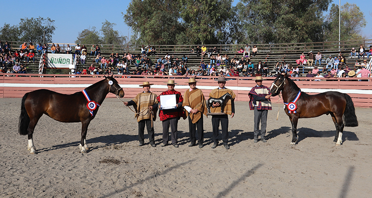 Distinguido y Sospechosa se adjudicaron los principales premios de la Expo Ñuñoa 2019