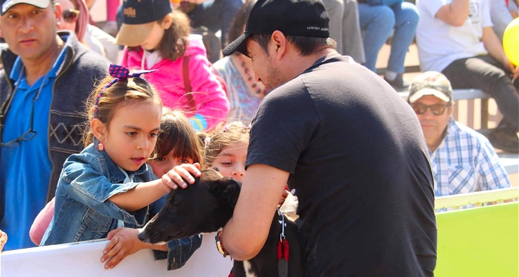 Criadores de perros galgos también tuvieron su espacio en XXV Semana de la Chilenidad