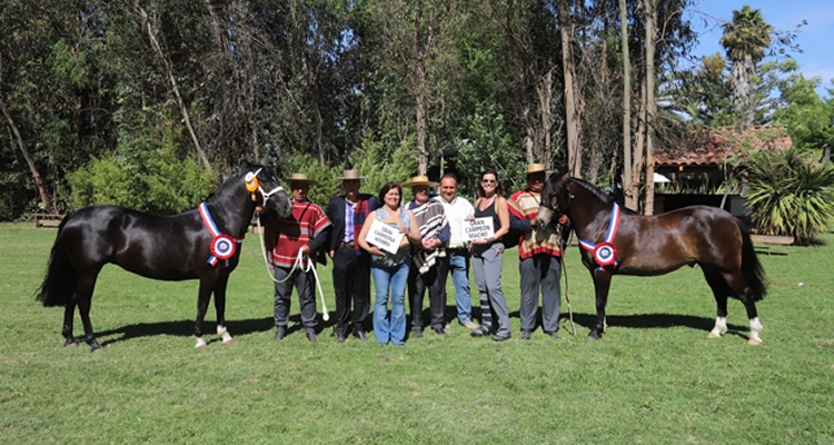 Criadores de Melipilla tienen nuevo presidente y varias actividades en su calendario