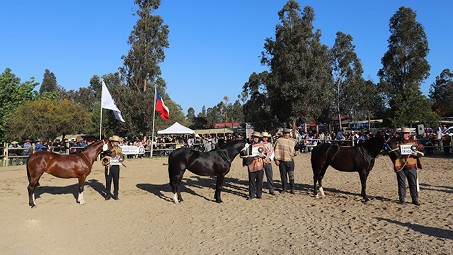 Cardenal Caro dice presente en la Expogama con su tradicional Exposición