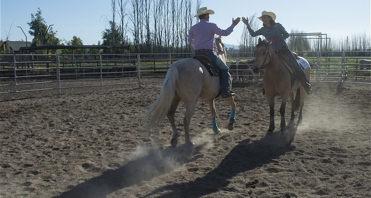 En Criadero Los Cóndores se realiza el Campeonato Vaquero 2019