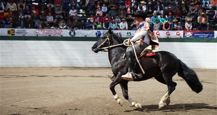 Emmanuel Silva lució al Comodín en la Rienda del Zonal Centro