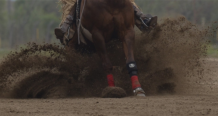 Criadero Los Cóndores realizó una gran fiesta del caballo